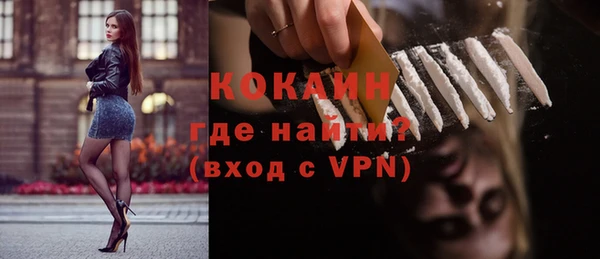 твердый Дмитров