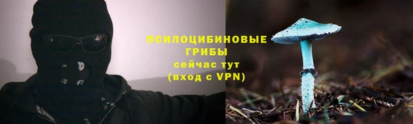 кокс Гусиноозёрск