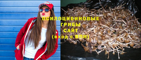 альфа пвп Гусев