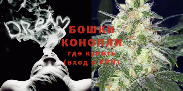 гидропоника Гусь-Хрустальный
