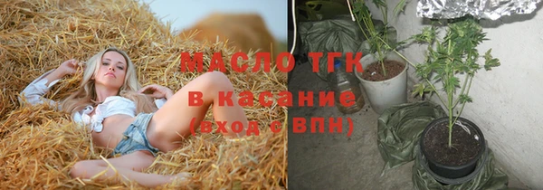 твердый Дмитров