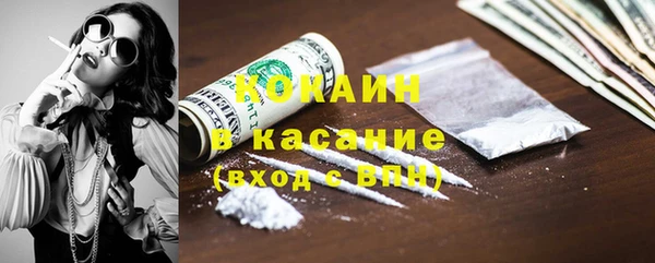МДПВ Дмитриев