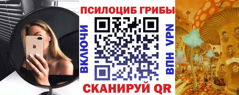 Псилоцибиновые грибы мицелий  где купить наркоту  Вилюйск 